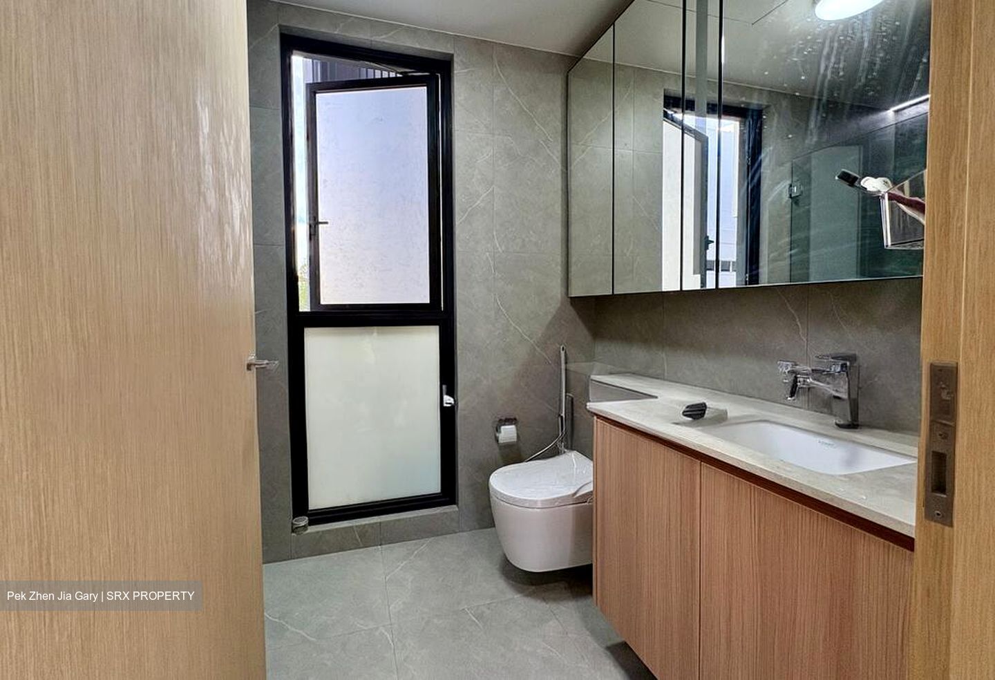 Peak Residence (D11), Condominium #501665671